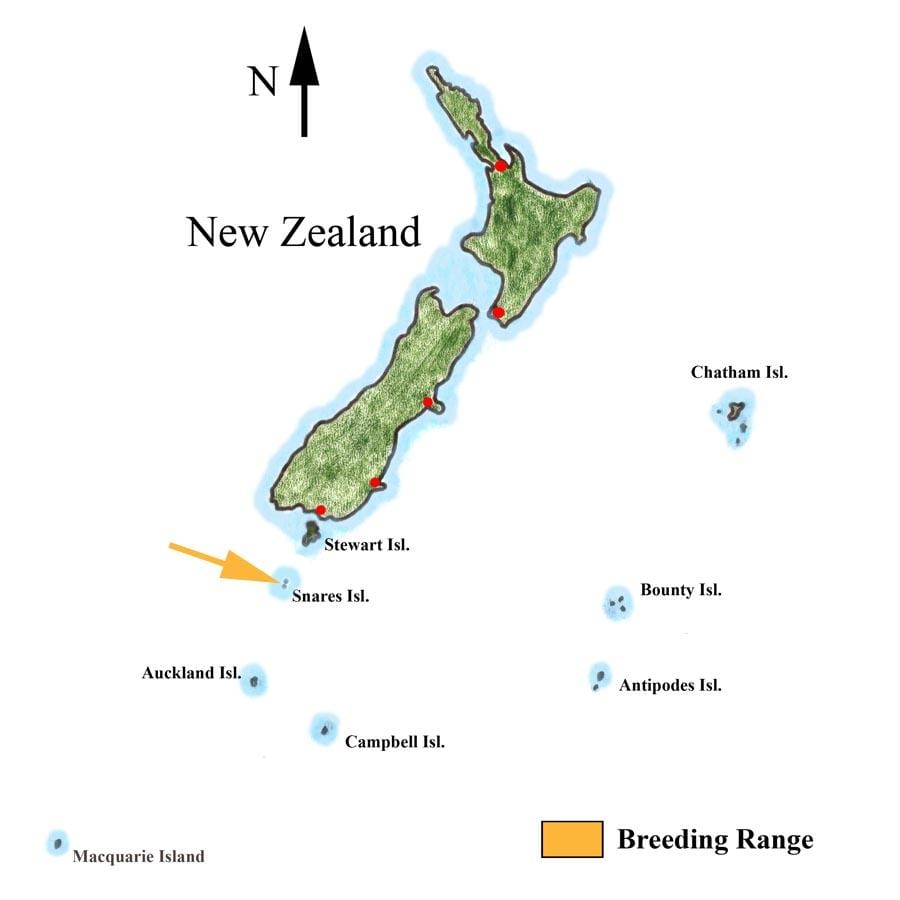 Kat jeyografik nan new zeland ak ki antoure zile