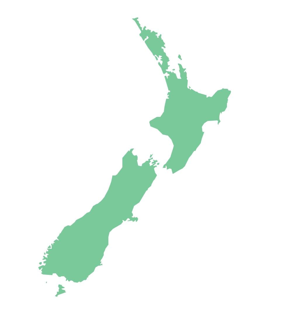 new zeland kat jeyografik desen