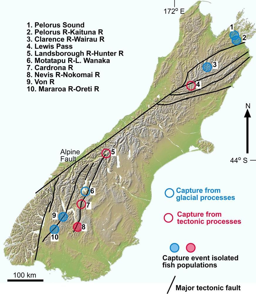 Kat jeyografik nan ravin larivyè lefrat la new zeland