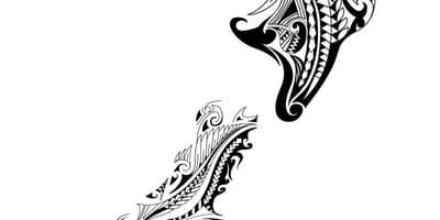 Kat jeyografik nan new zeland tatoo